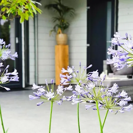Beautiful With Garden Dom wakacyjny *