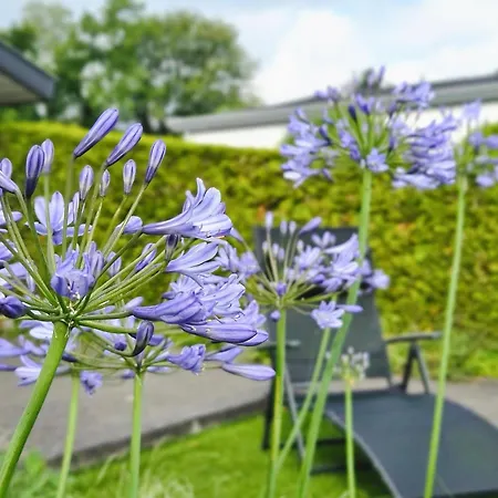 Dom wakacyjny Beautiful With Garden
