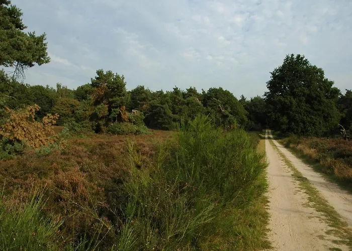 בית נופש Bamboo In Veluwe