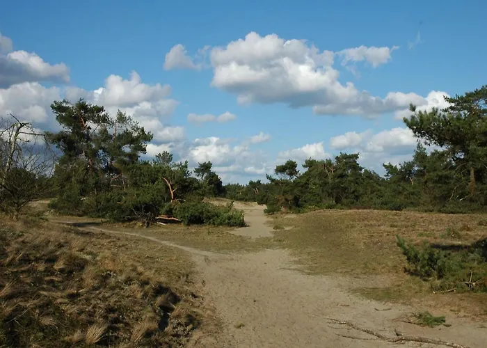 בית נופש Bamboo In Veluwe