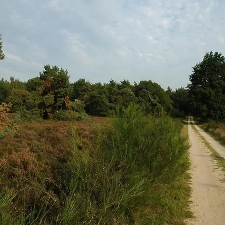 Holiday home Bamboo In Veluwe