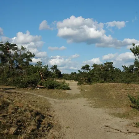 Holiday home Bamboo In Veluwe