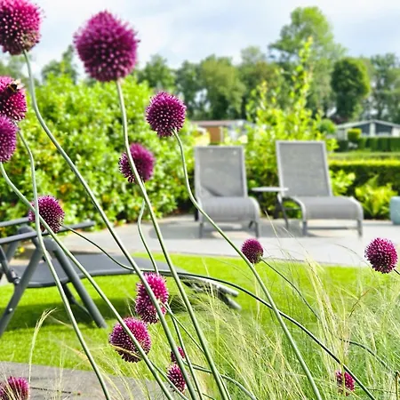 Bamboo In Veluwe Holiday home Voorthuizen